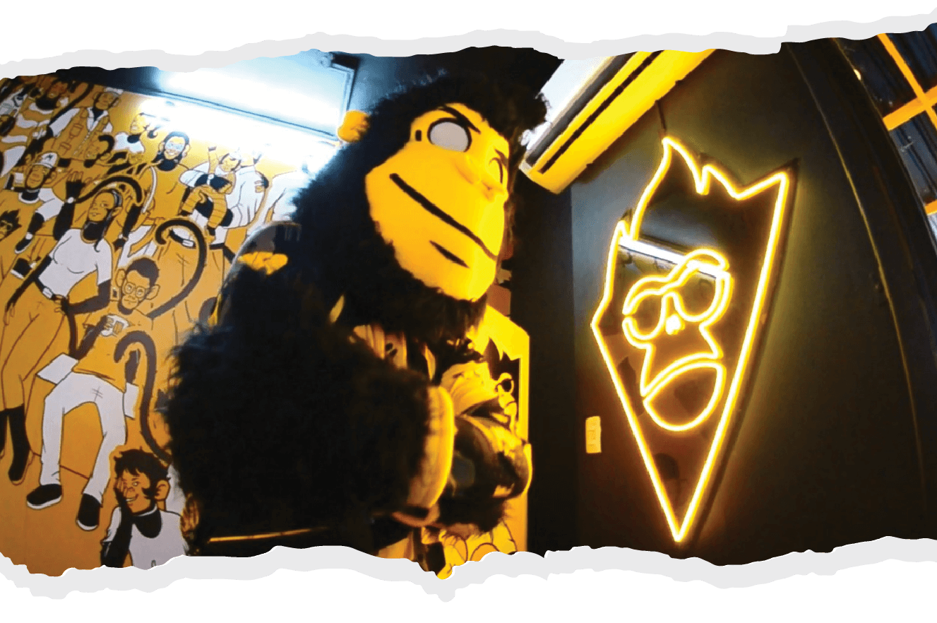 monkey fondobenef 12