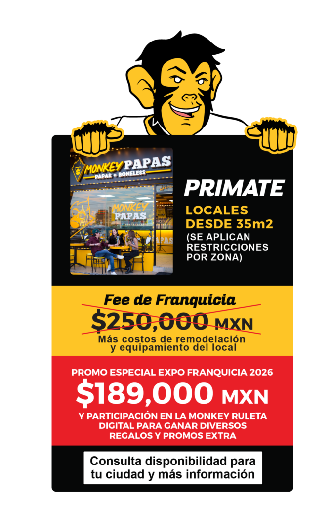 MP Modelos de franquicia 01