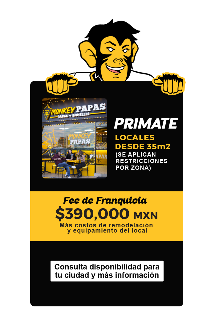 zMP Modelos de franquicia 01 672x1024 1